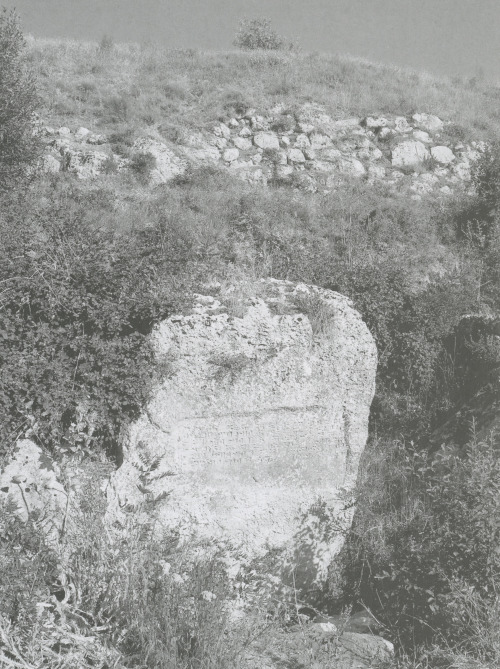 05_Minua_Tariria_inscription.jpg