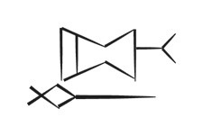 image of CDLI-gh ILDUM~b