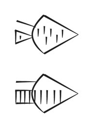 image of CDLI-gh KASZ~a