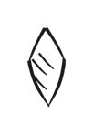 image of CDLI-gh KIN2~a