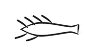 image of CDLI-gh KUSZU2~a
