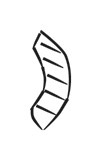 image of CDLI-gh LA~c