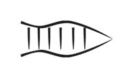 image of CDLI-gh MUD3~c