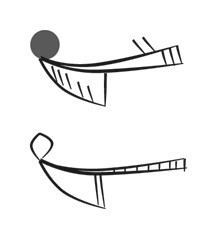 image of CDLI-gh MUSZ3~a@g