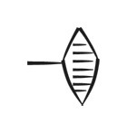 image of CDLI-gh NA~a