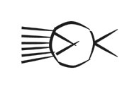 image of CDLI-gh NE~b