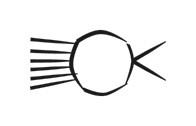 image of CDLI-gh NE~c