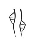 image of CDLI-gh RAD~a@g