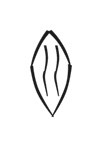 image of CDLI-gh SZA3~a1