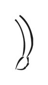 image of CDLI-gh UMBIN~a
