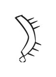 image of CDLI-gh UMBIN~b2