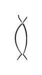 image of CDLI-gh ZATU632~b