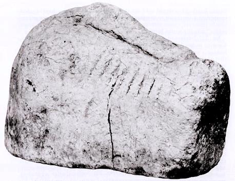 fig5a