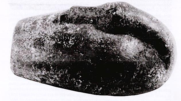 fig5b
