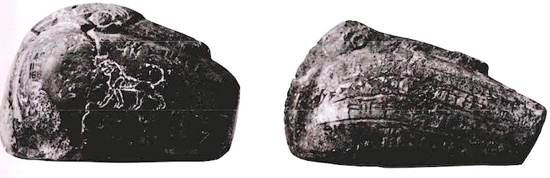 fig6b